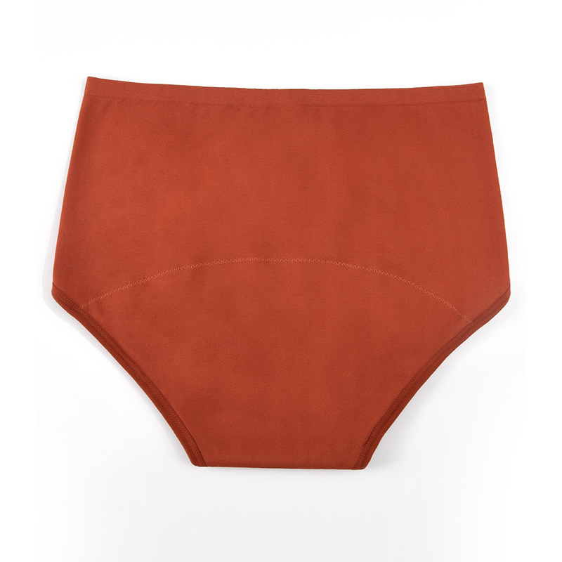 Women’s Seamless Period Pantie - Period Panty Absorbent avis et prix