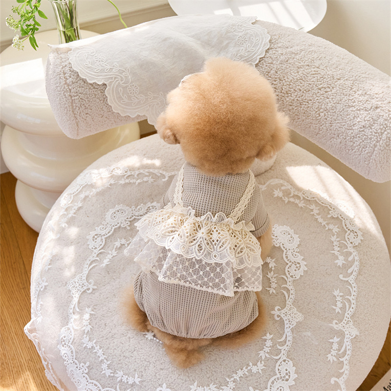 Pet Spring Jumpsuit Cute Lace  - Lace Teddy Lingerie avis et prix