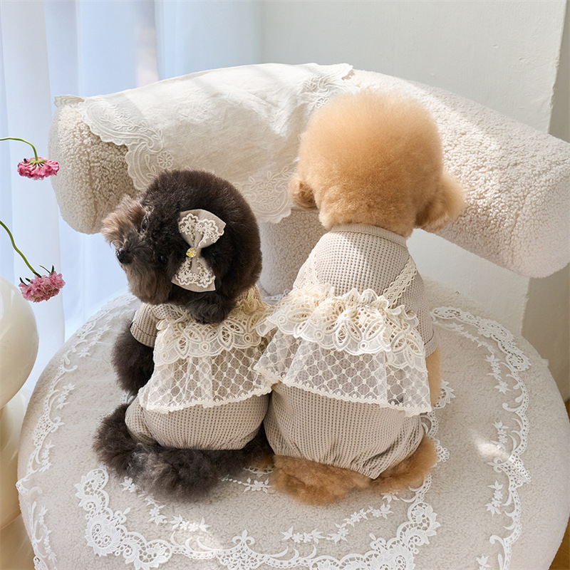 Pet Spring Jumpsuit Cute Lace  - Lace Teddy Lingerie avis et prix