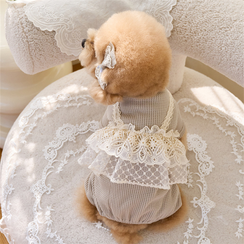 Pet Spring Jumpsuit Cute Lace  - Lace Teddy Lingerie avis et prix